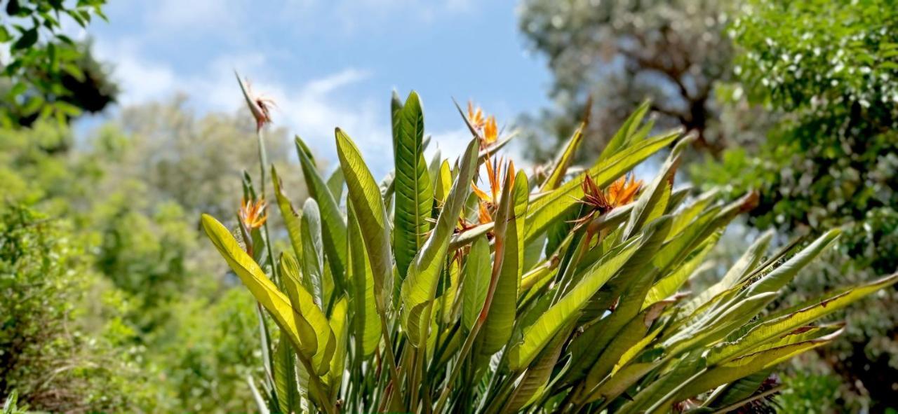 La Casetta Mortola Inferiore Dış mekan fotoğraf
