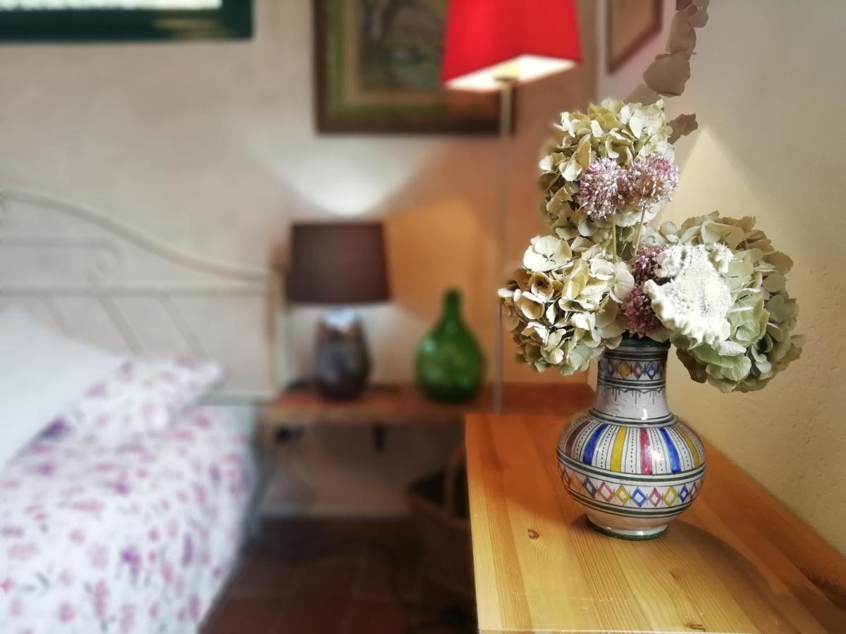 La Casetta Mortola Inferiore Dış mekan fotoğraf